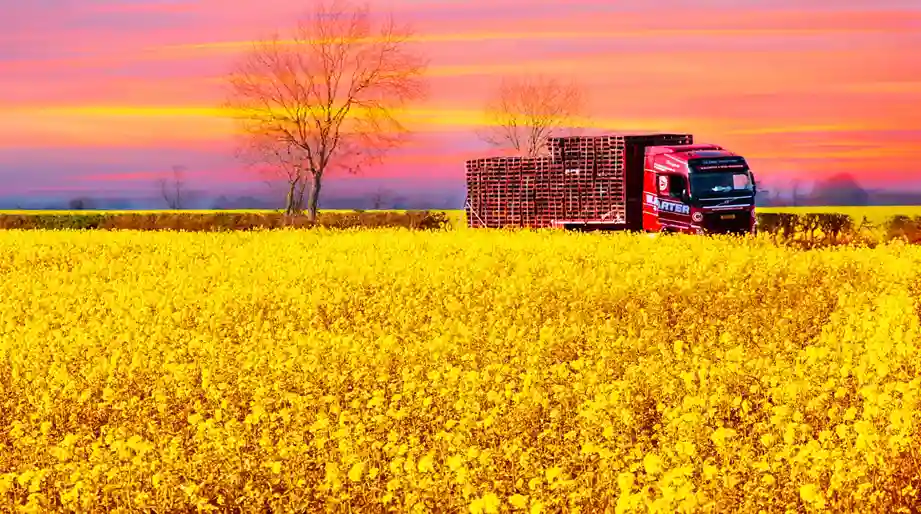 Trucking & Warehousing India — Road Transport & Storage Solutions